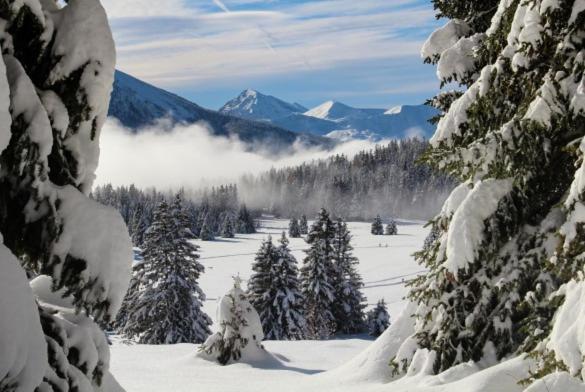 Le Flocon-Studio Cabine-Balcon 4-6 Pers A 100M Des Pistes Chamrousse Εξωτερικό φωτογραφία