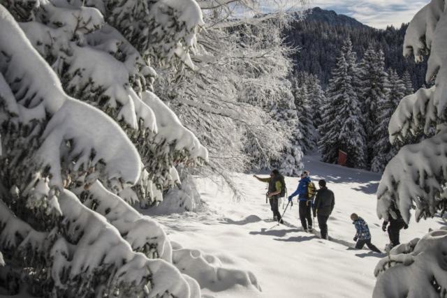 Le Flocon-Studio Cabine-Balcon 4-6 Pers A 100M Des Pistes Chamrousse Εξωτερικό φωτογραφία
